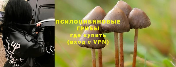 гидропоника Белоозёрский