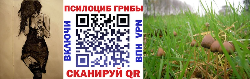 даркнет сайт  Шумиха  Псилоцибиновые грибы ЛСД 