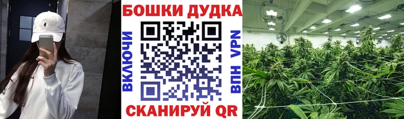 Бошки Шишки SATIVA & INDICA Шумиха